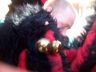 100_0601_web.jpg